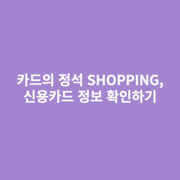 카드의 정석 SHOPPING