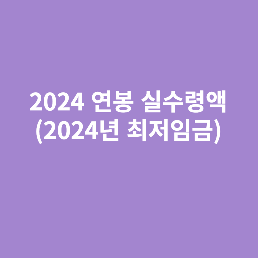 2024년 연봉 실수령액