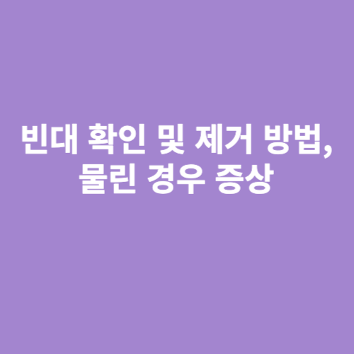 빈대 확인 방법