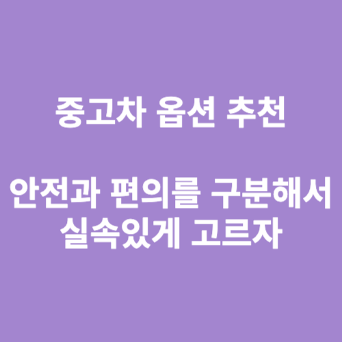 중고차 옵션 추천